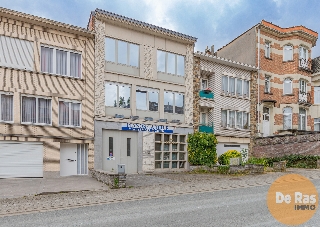 Handelspand te koop in De Selliers de Moranvillelaan 40 Sint-Agatha-Berchem