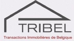 Tribel